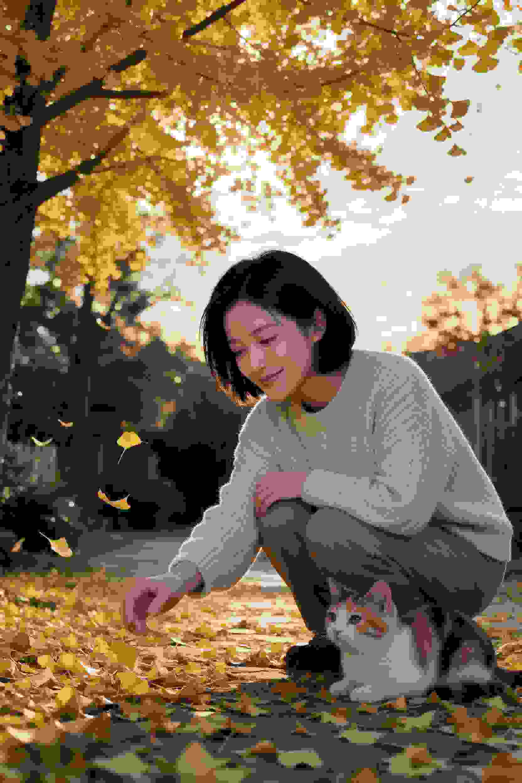 治愈系电视剧