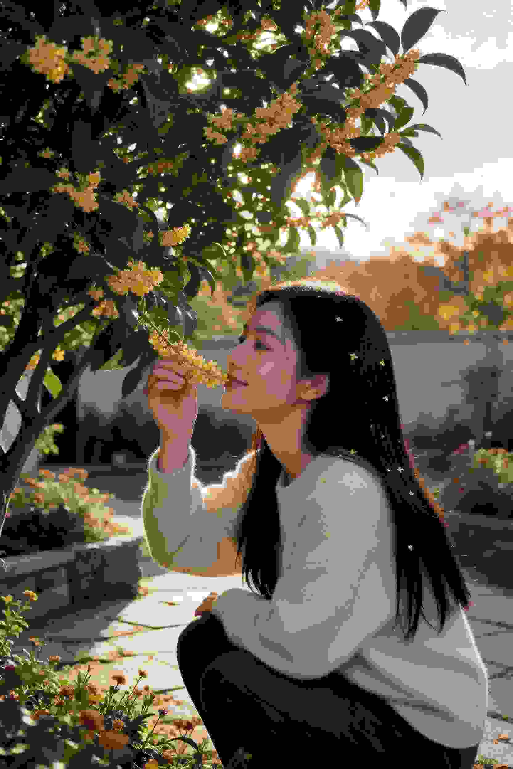 甜蜜爱情风